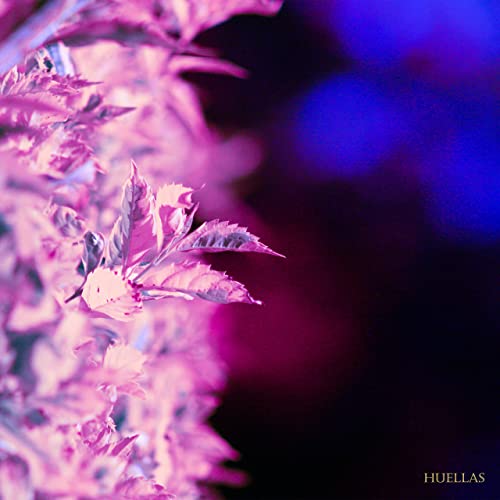 Kopeikin (Still Dream of You) at (Elite Press).